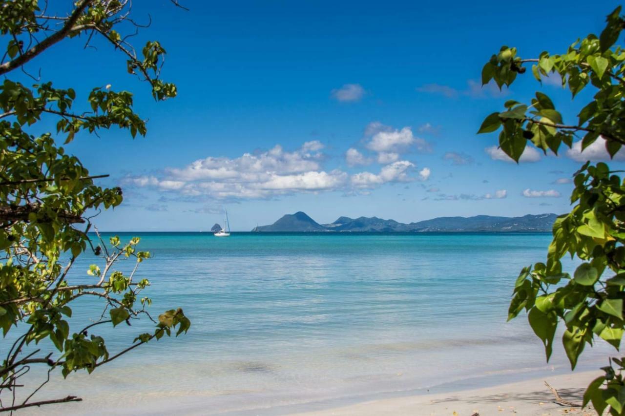Studio A Louer Proche Des Plages Apartment Sainte-Anne Bagian luar foto